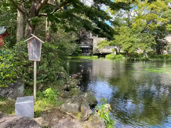 富士山本宮浅間大社(静岡県)