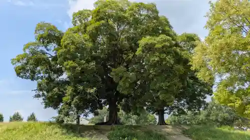 史跡　西寺趾(京都府)