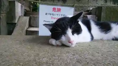 伏見稲荷大社(京都府)