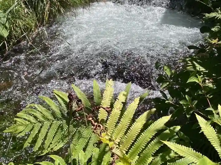 穂高神社本宮(長野県)