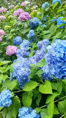 普門寺(岡山県)