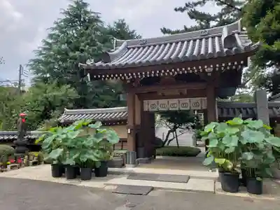 玄国寺の山門・神門