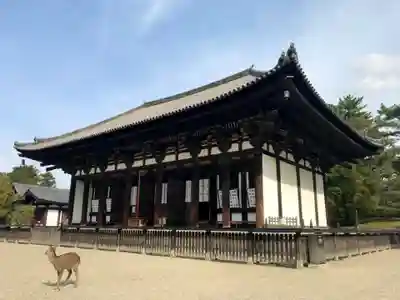 興福寺の本殿・本堂