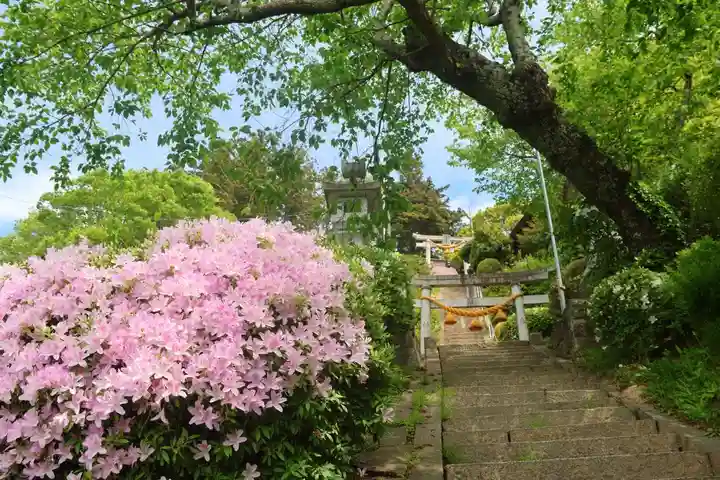 長屋神社の鳥居