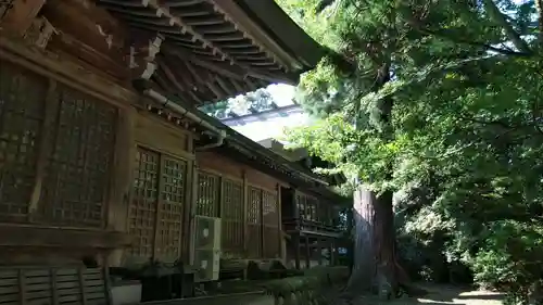 越中一宮 髙瀬神社の本殿