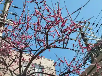走水神社の自然