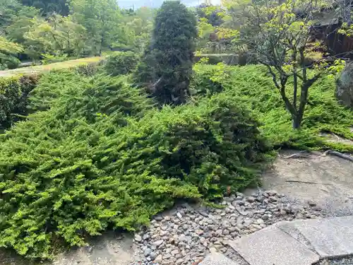 勧修寺(京都府)