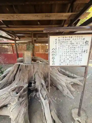 八坂神社の{uncategorized: "未分類", other: "その他", undefined: "問題あり", building: "その他建物", grave: "お墓", sacred_gate: "鳥居", guardian: "狛犬", statue: "像", buddha: "仏像", history: "歴史", nature: "自然", garden: "庭園", animal: "動物", pagoda: "塔", temizu: "手水舎", mountain_gate: "山門・神門", sanctuary: "本殿・本堂", subordinate: "末社・摂社", art: "芸術", scenery: "景色", jizo: "地蔵", ema: "絵馬", goshuin: "御朱印", omikuji: "おみくじ", items: "授与品その他", amulet: "お守り", goshuincho: "御朱印帳", eats: "食事", festival: "お祭り", votive_dance: "神楽", shichigosan: "七五三参", wedding: "結婚式", experience: "体験その他", initially: "初詣", around: "周辺", anti_infection: "感染症対策"}