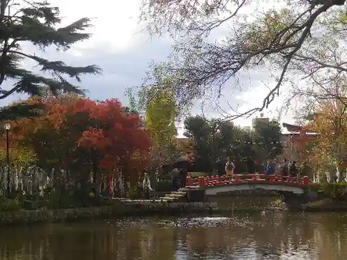 鶴岡八幡宮の庭園