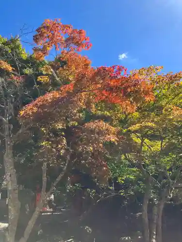 龍泉寺(奈良県)