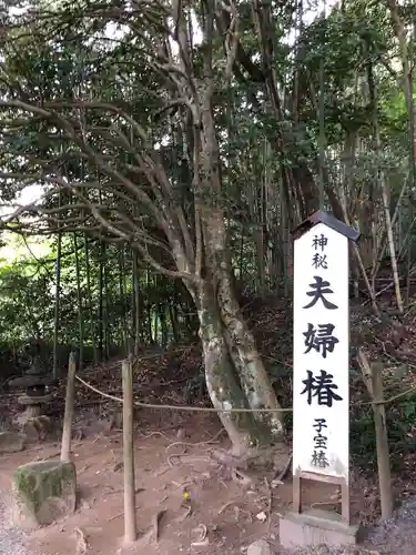八重垣神社のその他建物