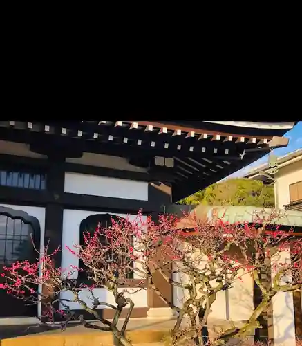 長寿寺のその他建物