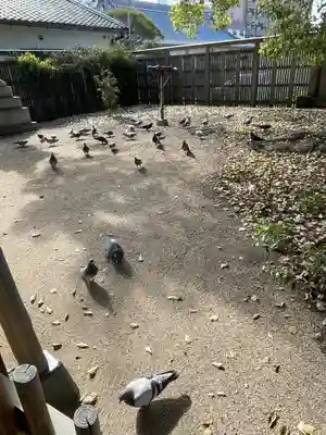 大聖観音寺（あびこ観音）(大阪府)