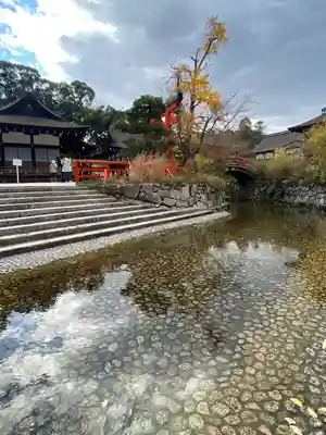 賀茂御祖神社（下鴨神社）(京都府)