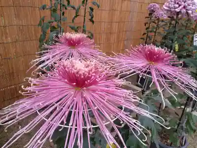 普光寺(新潟県)