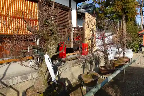 菅原天満宮（菅原神社）の自然