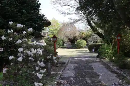 大本山誕生院  (佐賀県)