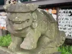 菊田神社の狛犬