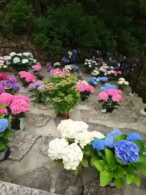 長谷寺(奈良県)