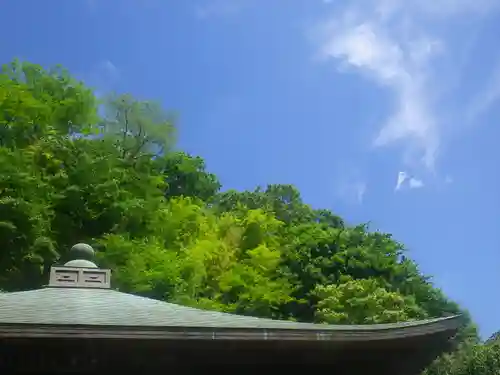 東慶寺の自然