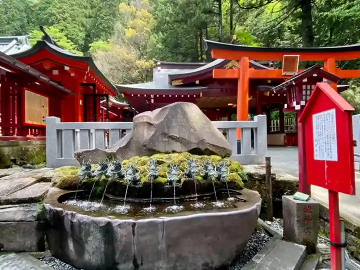 箱根神社の手水舎