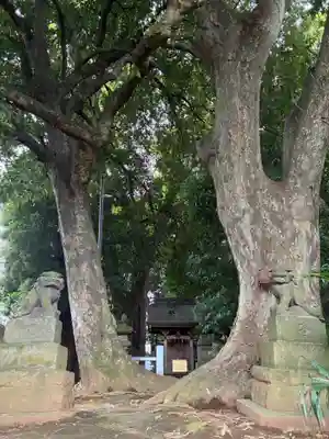 王子神社(千葉県)