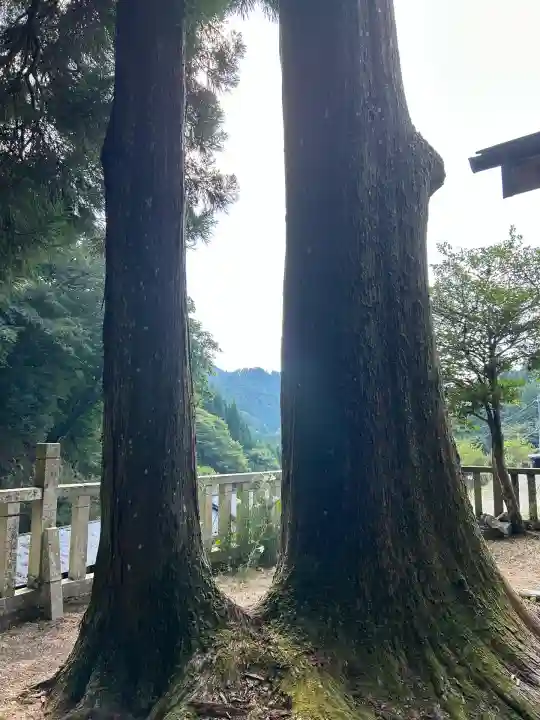 天一神社(奈良県)