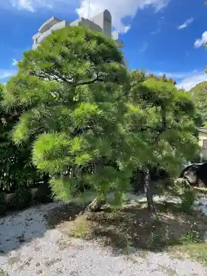 良泉寺(神奈川県)