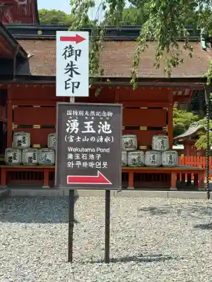 富士山本宮浅間大社(静岡県)