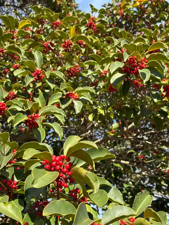 鷲神社(茨城県)