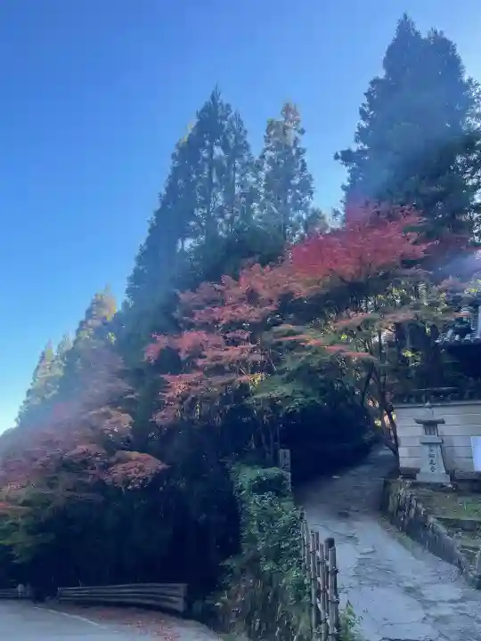 松尾寺(奈良県)
