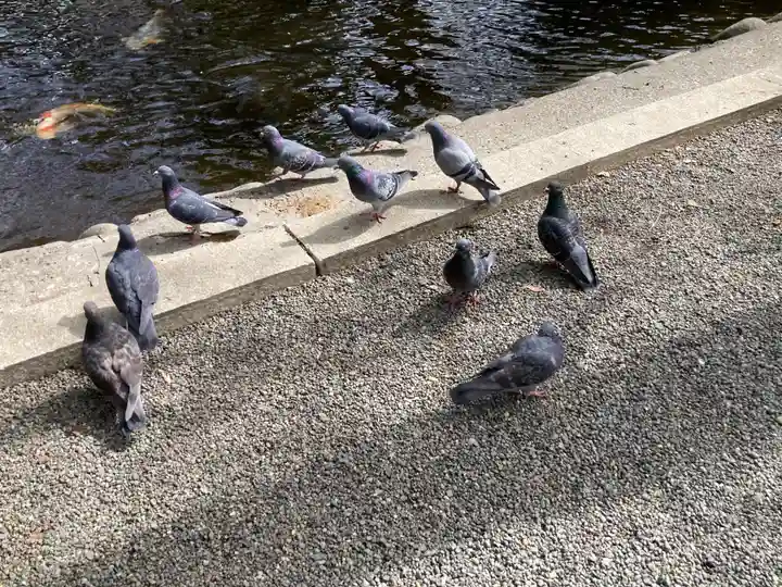 平塚八幡宮(神奈川県)