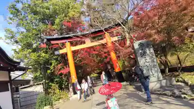 宇治上神社の鳥居
