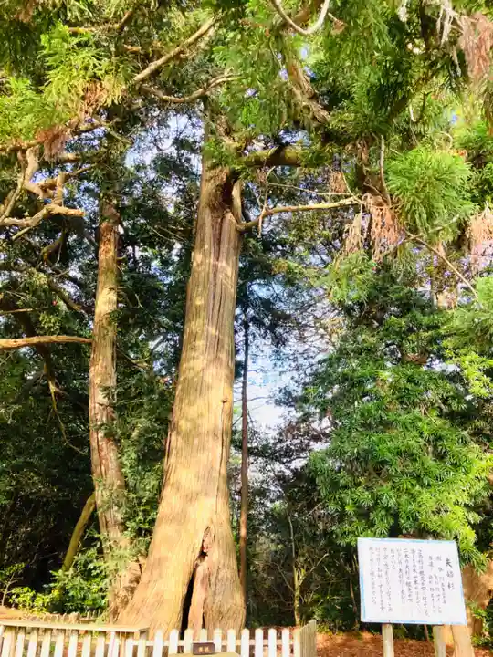 鎌数伊勢大神宮(千葉県)