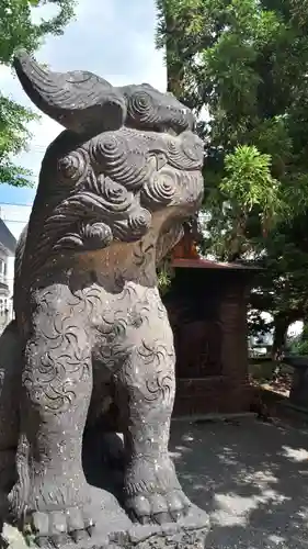 発寒神社の狛犬