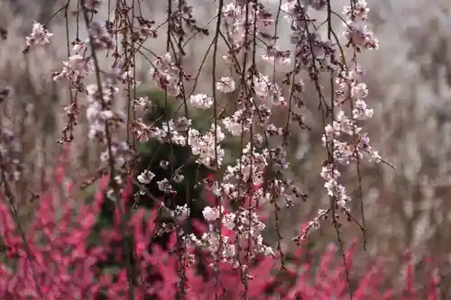 建福寺の景色