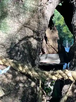 大宮神社(愛知県)