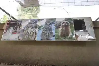 柏諏訪神社(千葉県)