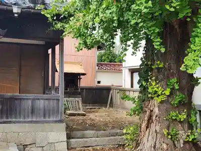 蛭子神社(兵庫県)