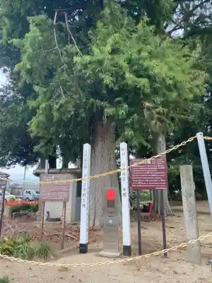 西郷神社(栃木県)