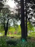 飯笠山神社(長野県)