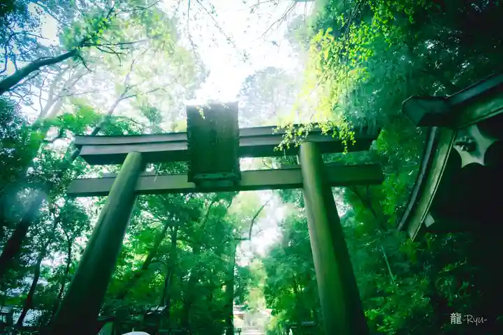 石上神宮(奈良県)