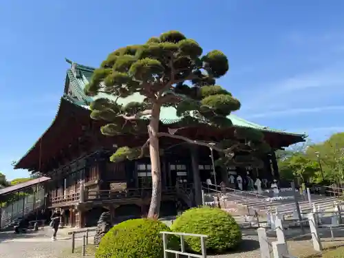 護国寺(東京都)