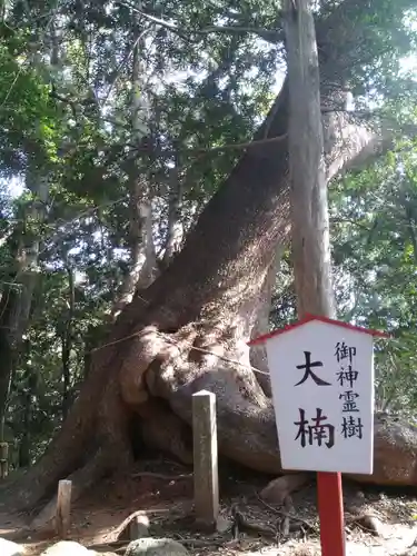 住吉神社の自然