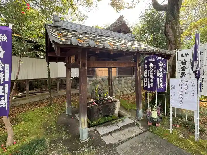 白金龍王社の{uncategorized: "未分類", other: "その他", undefined: "問題あり", building: "その他建物", grave: "お墓", sacred_gate: "鳥居", guardian: "狛犬", statue: "像", buddha: "仏像", history: "歴史", nature: "自然", garden: "庭園", animal: "動物", pagoda: "塔", temizu: "手水舎", mountain_gate: "山門・神門", sanctuary: "本殿・本堂", subordinate: "末社・摂社", art: "芸術", scenery: "景色", jizo: "地蔵", ema: "絵馬", goshuin: "御朱印", omikuji: "おみくじ", items: "授与品その他", amulet: "お守り", goshuincho: "御朱印帳", eats: "食事", festival: "お祭り", votive_dance: "神楽", shichigosan: "七五三参", wedding: "結婚式", experience: "体験その他", initially: "初詣", around: "周辺", anti_infection: "感染症対策"}