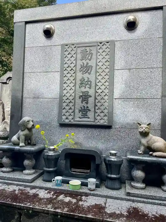 大寳寺の{uncategorized: "未分類", other: "その他", undefined: "問題あり", building: "その他建物", grave: "お墓", sacred_gate: "鳥居", guardian: "狛犬", statue: "像", buddha: "仏像", history: "歴史", nature: "自然", garden: "庭園", animal: "動物", pagoda: "塔", temizu: "手水舎", mountain_gate: "山門・神門", sanctuary: "本殿・本堂", subordinate: "末社・摂社", art: "芸術", scenery: "景色", jizo: "地蔵", ema: "絵馬", goshuin: "御朱印", omikuji: "おみくじ", items: "授与品その他", amulet: "お守り", goshuincho: "御朱印帳", eats: "食事", festival: "お祭り", votive_dance: "神楽", shichigosan: "七五三参", wedding: "結婚式", experience: "体験その他", initially: "初詣", around: "周辺", anti_infection: "感染症対策"}