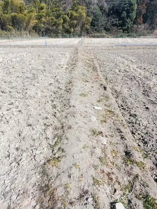 羽黒神社(飛駒町)(栃木県)