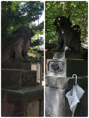 錦山天満宮の狛犬