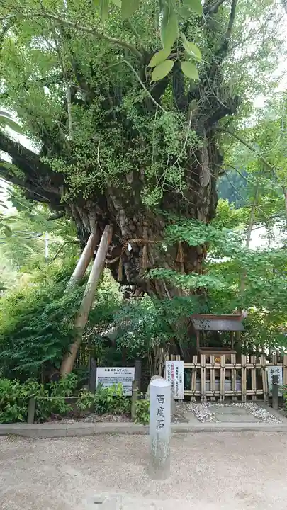 葛城一言主神社の自然