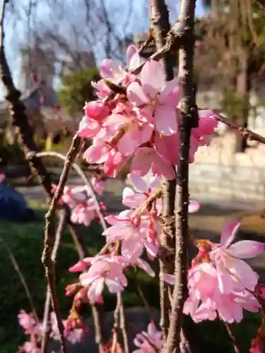 圓照寺(東京都)